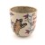 PXL_20260329_114823000.RAW-01.COVER.jpg
